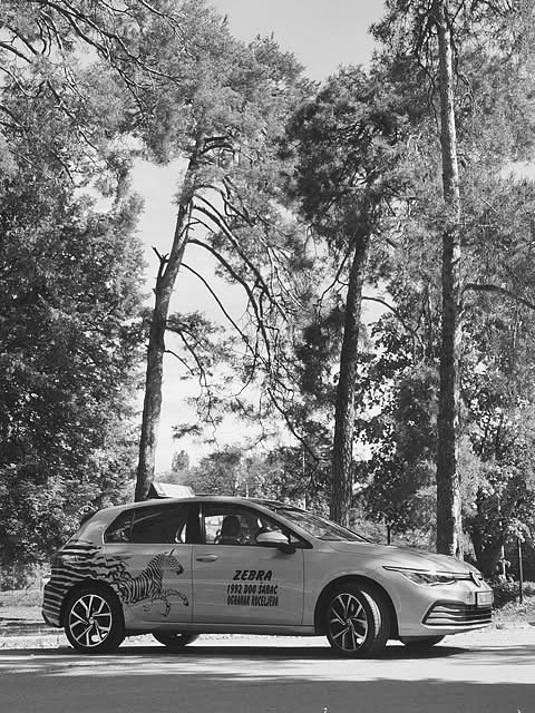 Volkswagen Golf sa zebra šarom na vratima, ispod visokih borova